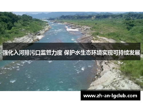 强化入河排污口监管力度 保护水生态环境实现可持续发展
