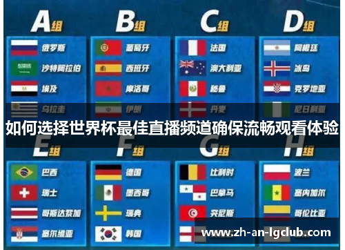 如何选择世界杯最佳直播频道确保流畅观看体验