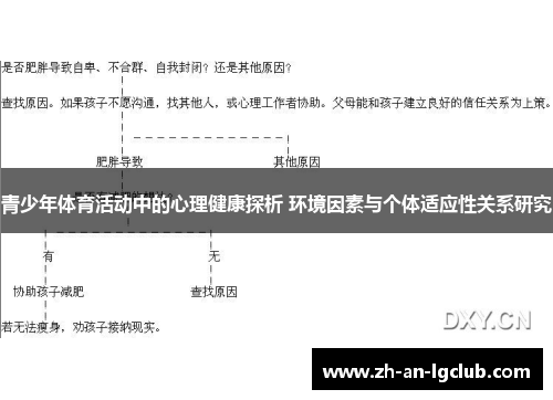 青少年体育活动中的心理健康探析 环境因素与个体适应性关系研究 青少年体育活动中的心理健康探析 环境因素与个体适应性关系研究