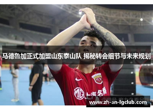 马德鲁加正式加盟山东泰山队 揭秘转会细节与未来规划 马德鲁加正式加盟山东泰山队 揭秘转会细节与未来规划