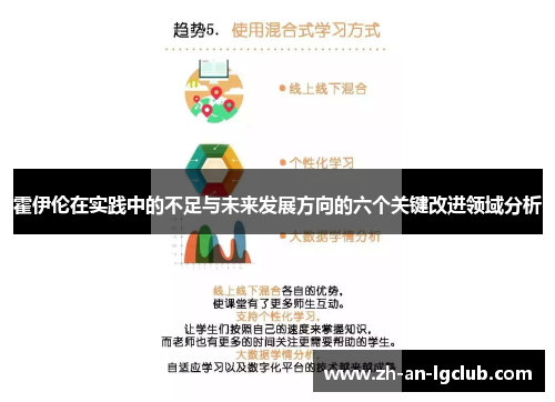 霍伊伦在实践中的不足与未来发展方向的六个关键改进领域分析 霍伊伦在实践中的不足与未来发展方向的六个关键改进领域分析