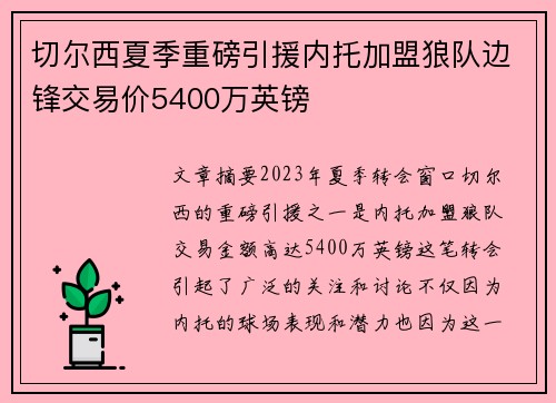 切尔西夏季重磅引援内托加盟狼队边锋交易价5400万英镑